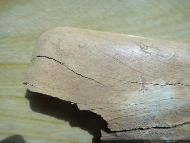 DSC03291_调整大小_调整大小.JPG