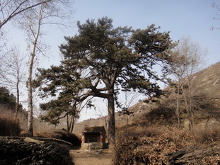 DSC03153_调整大小_调整大小.JPG