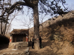 DSC03157_调整大小_调整大小.JPG