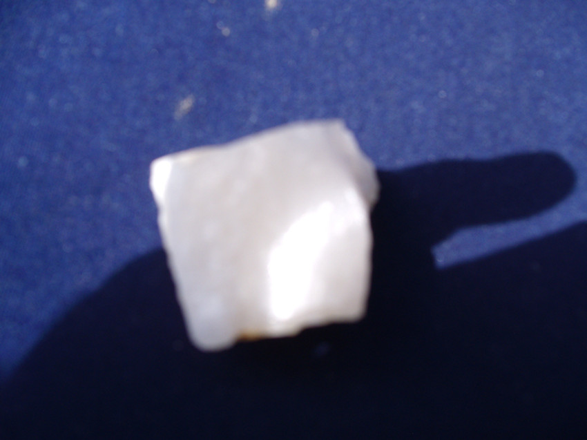 GEDC2417_副本.jpg