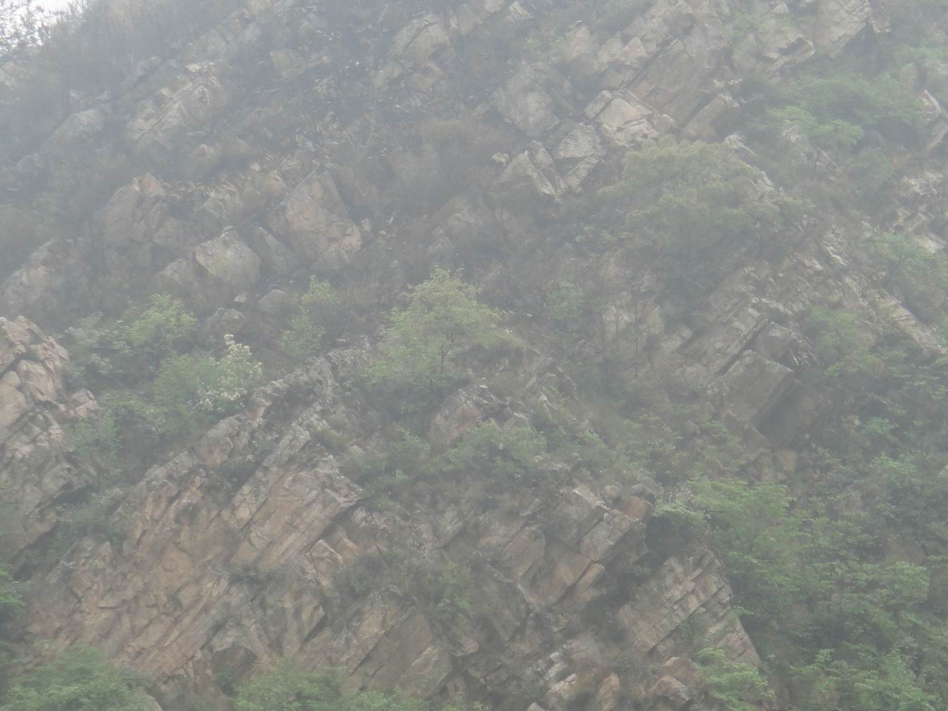 调整大小 DSC03438.JPG
