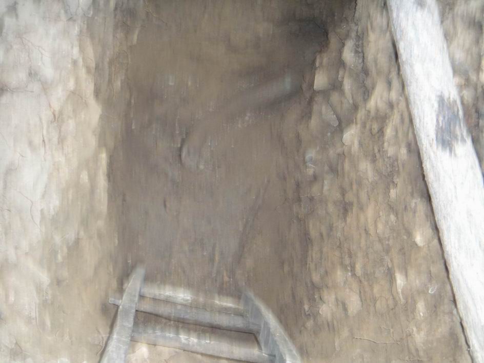 调整大小 调整大小 DSC03459.JPG