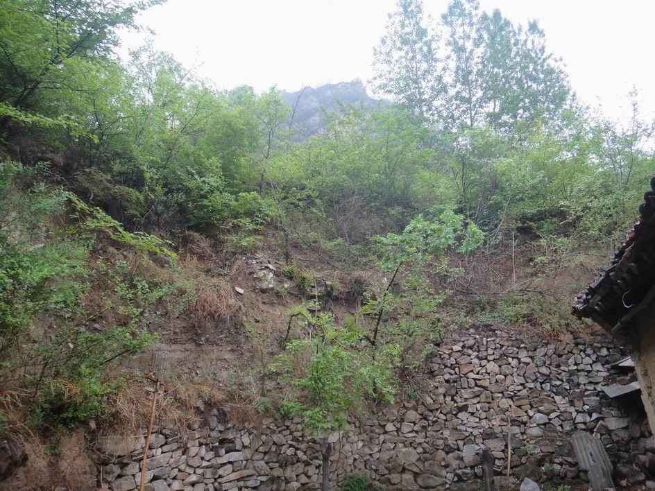 调整大小 调整大小 DSC03460.JPG