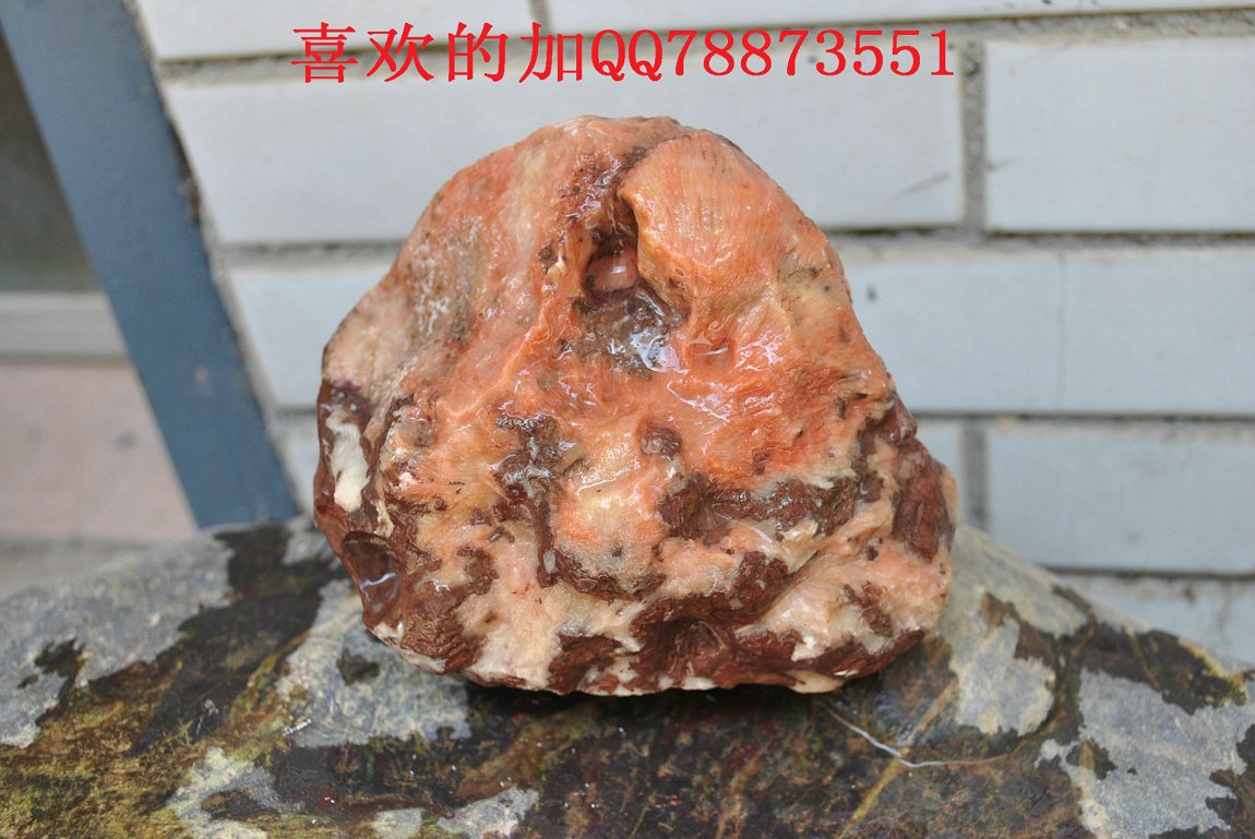 照片 1048.jpg