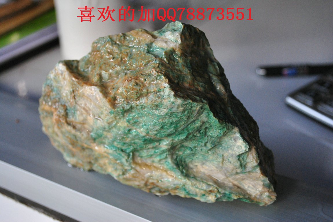照片 1050.jpg