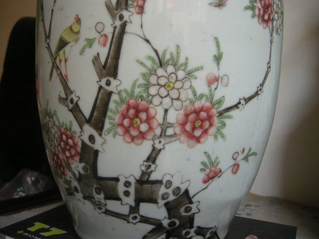 DSCN5582.JPG