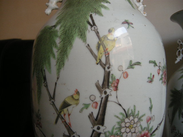 DSCN5586.JPG