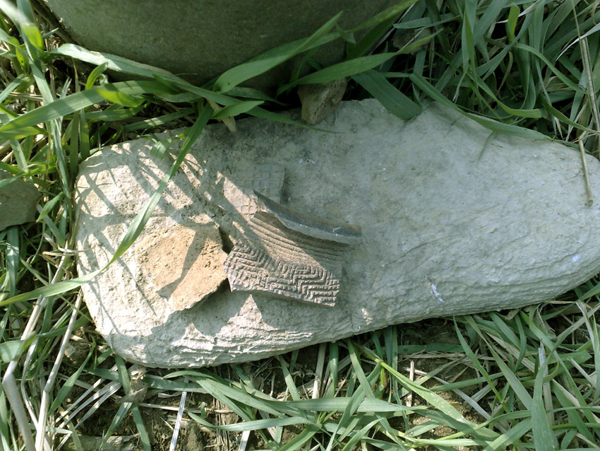 20120126518.jpg