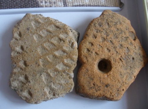 d1321.jpg