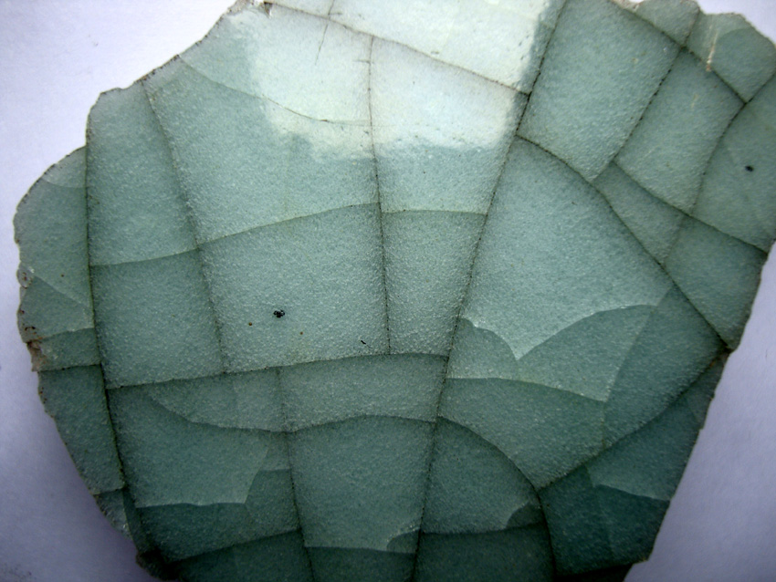 DSC01495.jpg