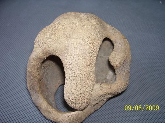 哈福文化炻胎陶器21.jpg