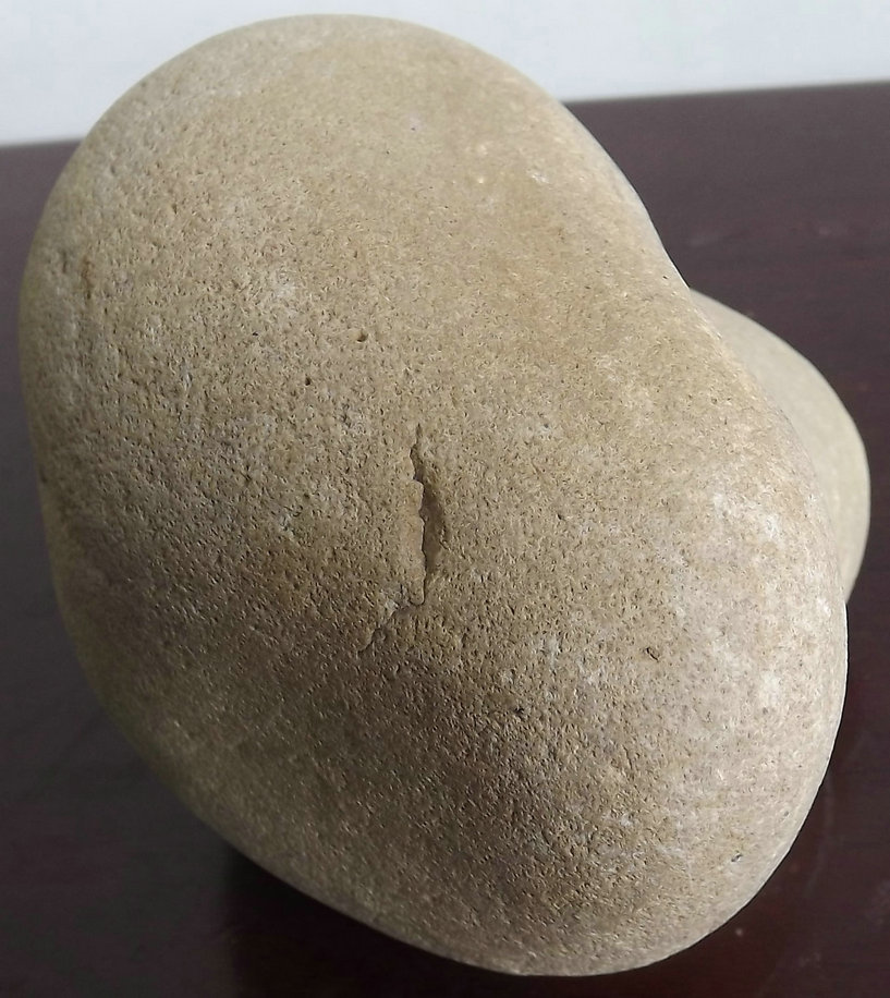 照片 003.jpg
