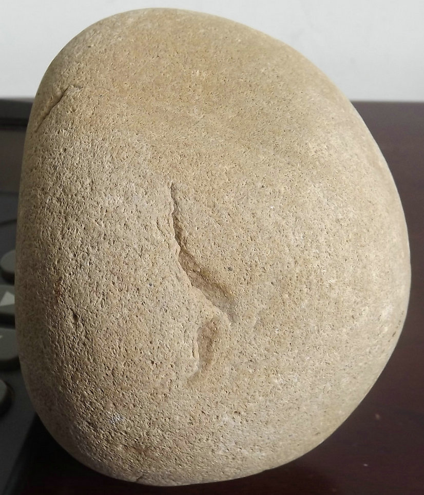 照片 005.jpg