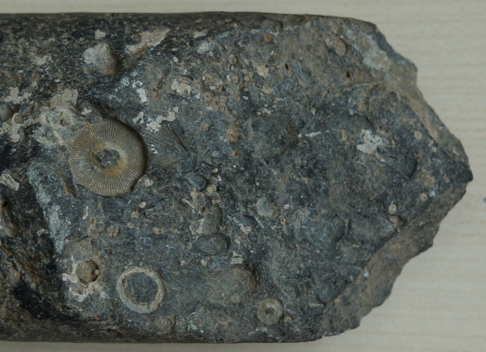 砍砸器2.jpg