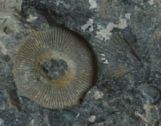 砍砸器4.jpg