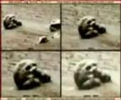 u=2943270495,3266654822&fm=51&gp=0[1].jpg