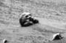 u=2955481903,64696242&fm=52&gp=0[1].jpg