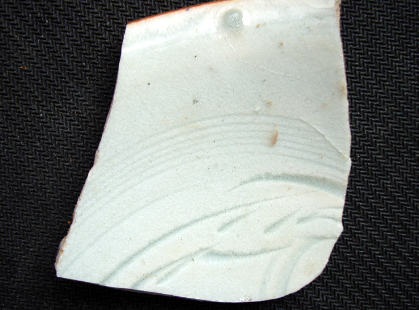 DSC01825.jpg