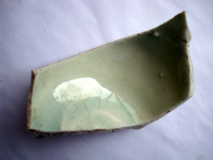 DSC01835.jpg