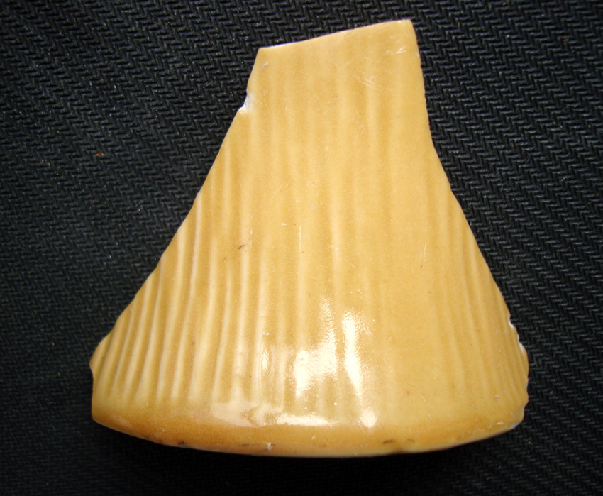 DSC01794.jpg