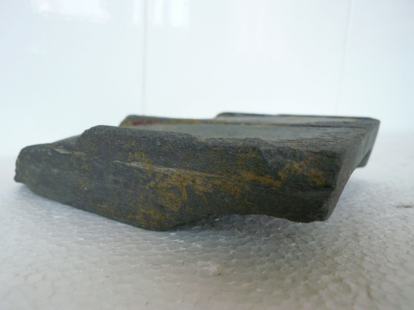 P1210837.JPG