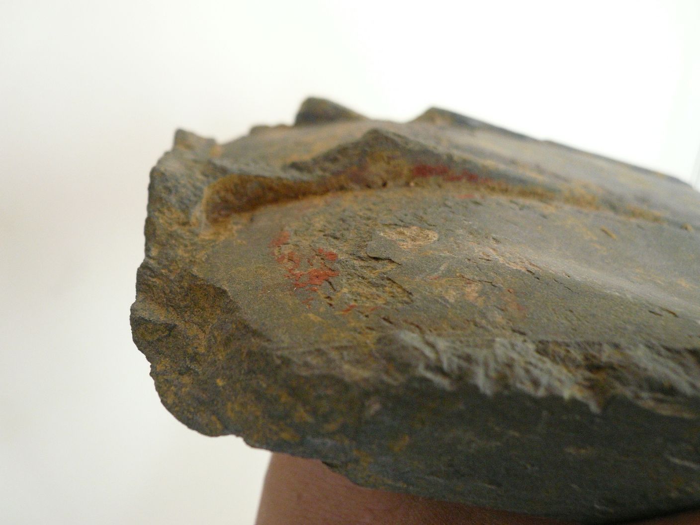 P1210843.JPG