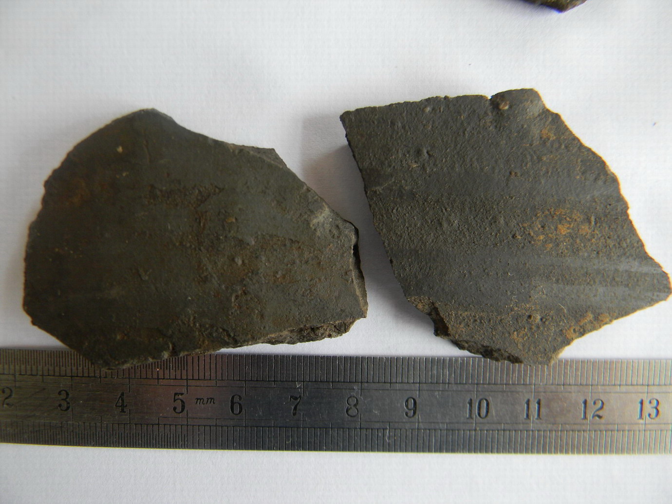 DSCN1778.jpg
