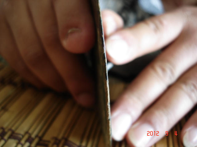 DSC01915.JPG