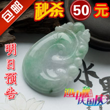 T008.jpg