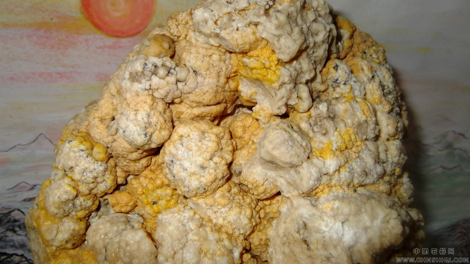 上部