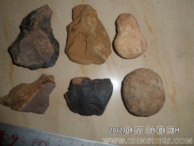 调整大小 SAM_5446.JPG