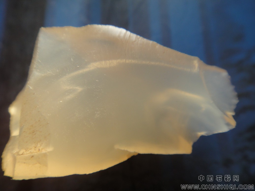 DSC05057_调整大小.JPG