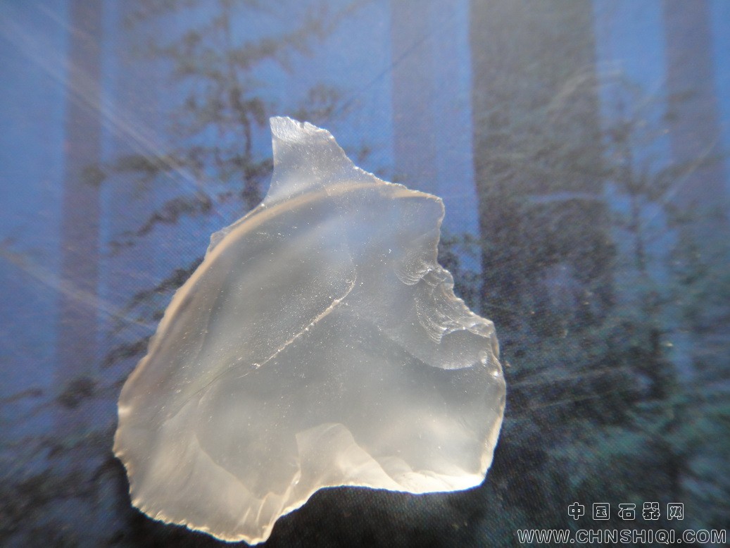 DSC05071_调整大小.JPG