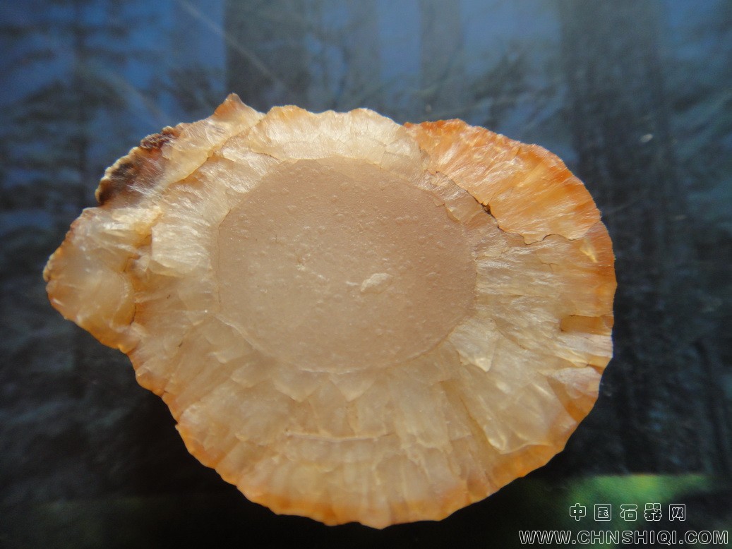DSC05074_调整大小.JPG