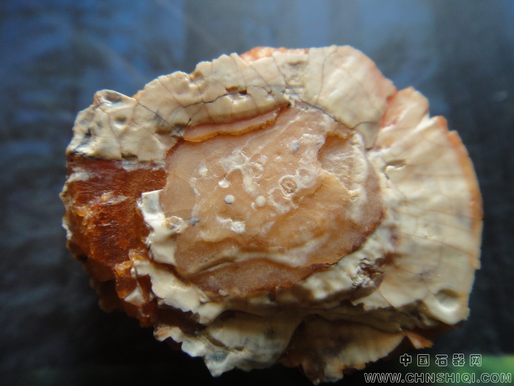 DSC05075_调整大小.JPG