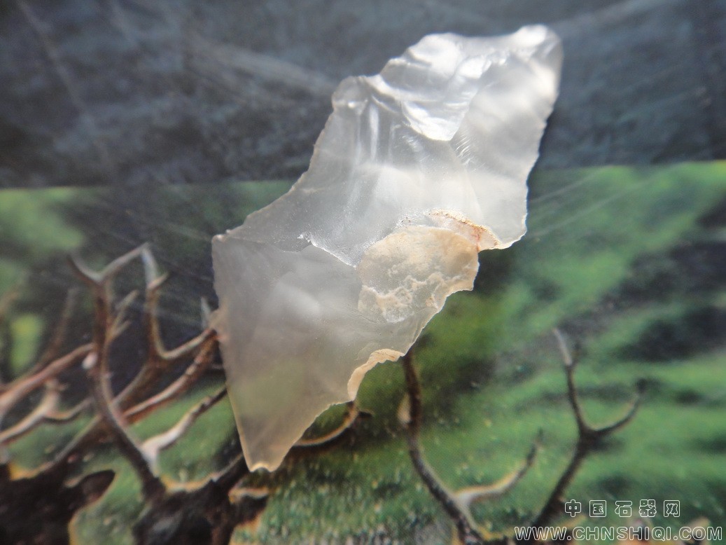 DSC05076_调整大小.JPG