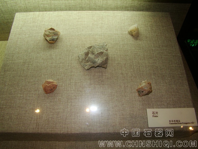 DSC05445.JPG