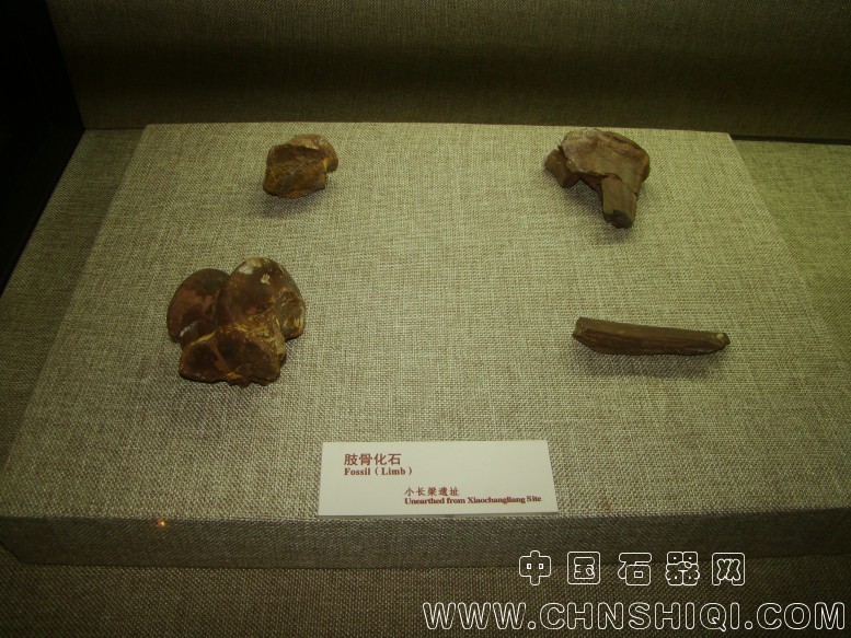 DSC05480.JPG