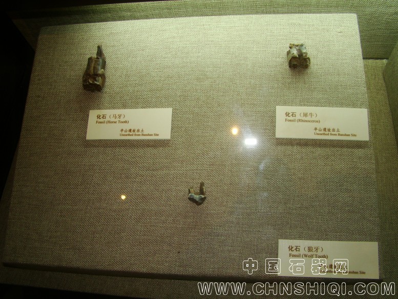 DSC05487.JPG