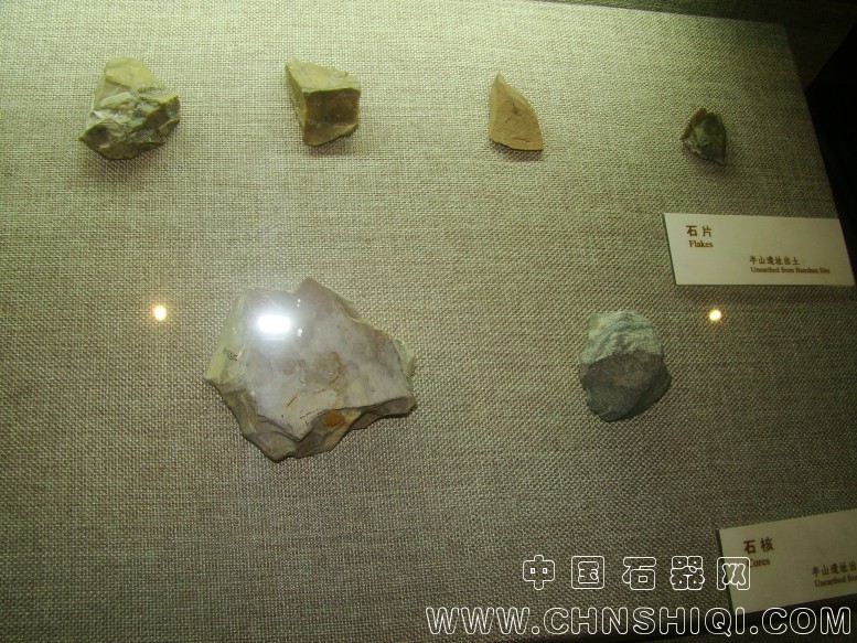 DSC05488.JPG