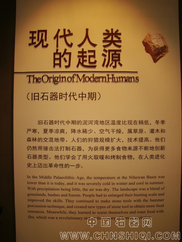 DSC05489.JPG