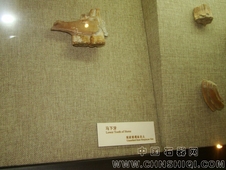 DSC05505.JPG