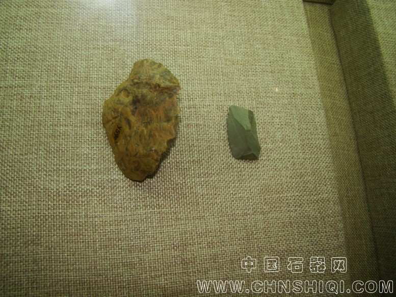 DSC05559.JPG