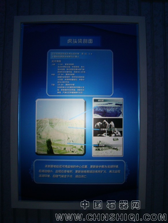 DSC05128.JPG