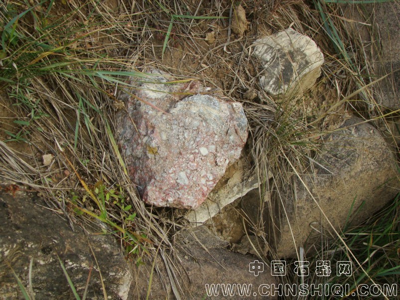 DSC05323.JPG