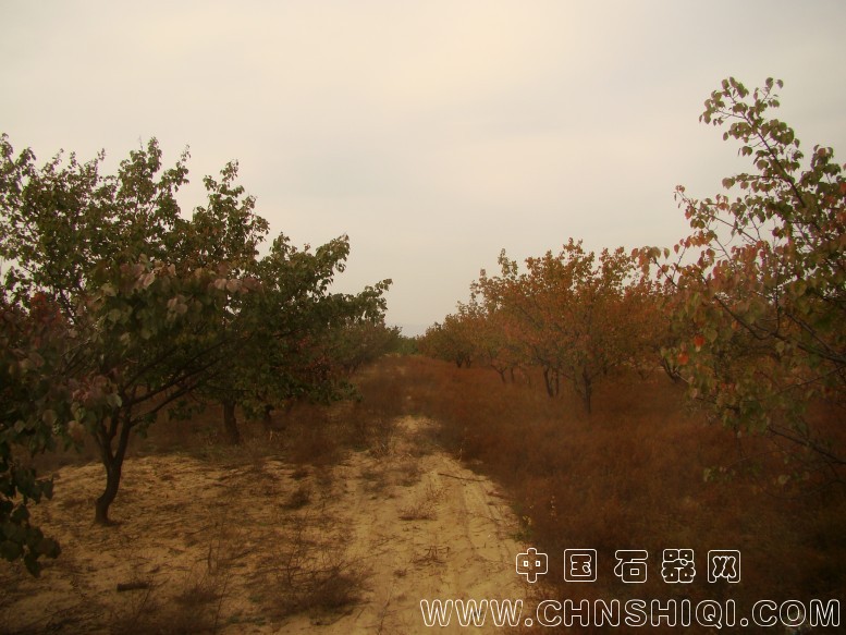 DSC05964.JPG