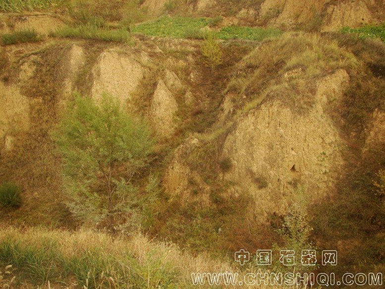 DSC05970.JPG