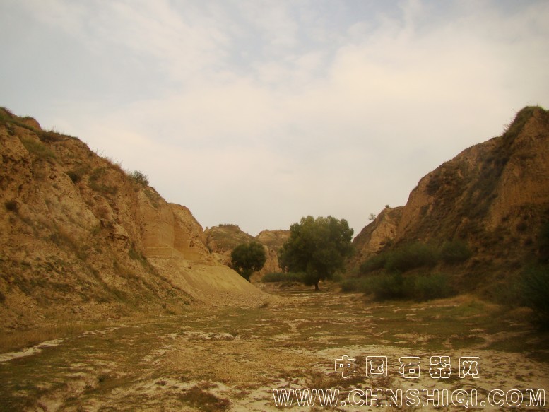 DSC05998.JPG