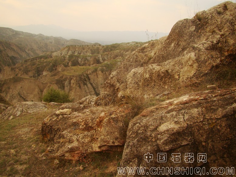 DSC06004.JPG