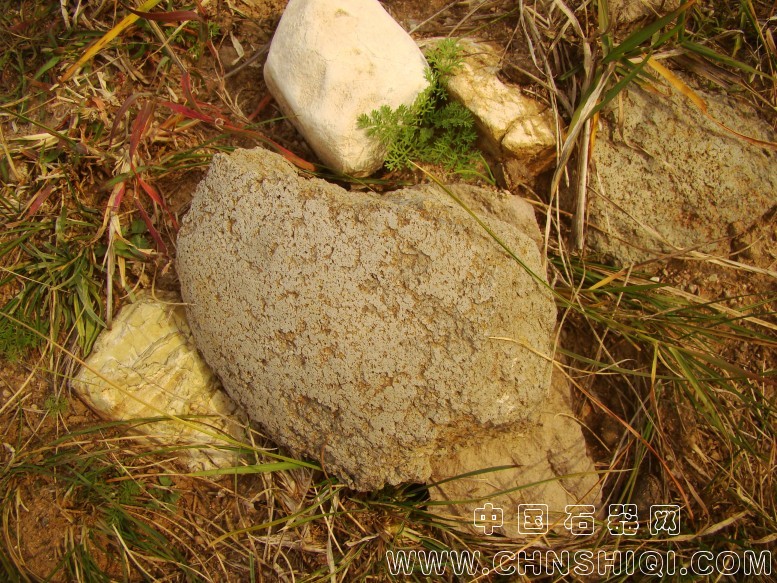 DSC06007.JPG